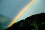 Regenbogen