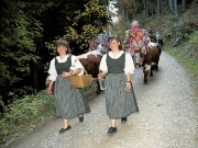 Almabtrieb