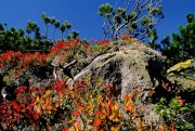 Herbst im Nationalpark