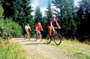 Mountainbiker